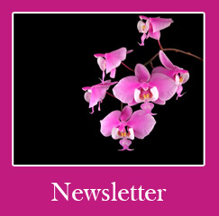 Orchid Newsletters